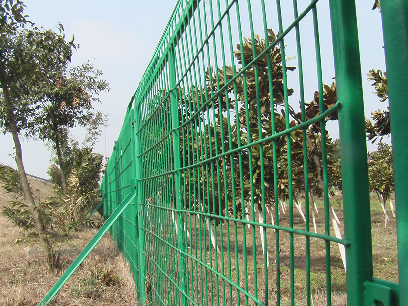 Mountain Forest Fence