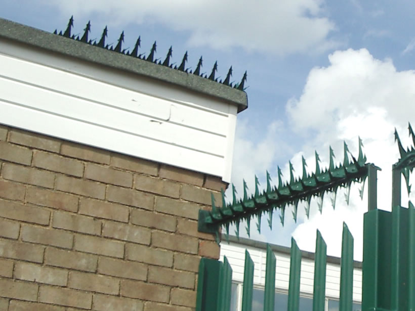 Spear Top Metal Fence/Razor Wall Spike